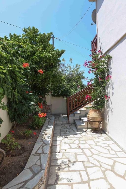 Pleoussa Studio And Apartments سكوبيلوس تاون المظهر الخارجي الصورة